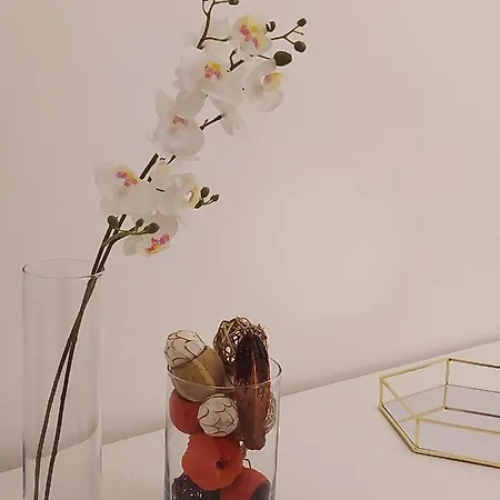 Apartmán Conte Rosso