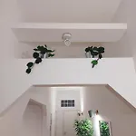 Conte Rosso Appartement