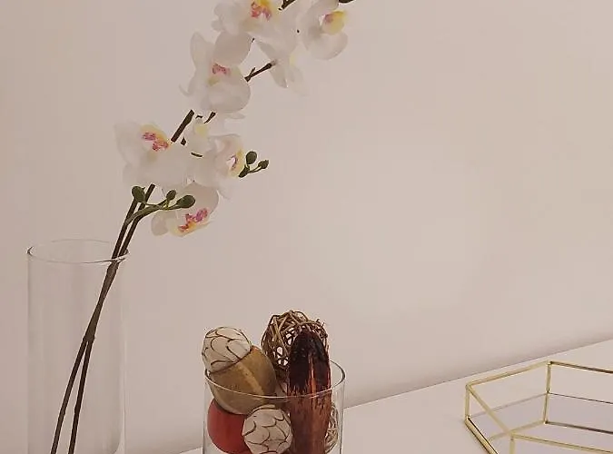 Apartment Conte Rosso